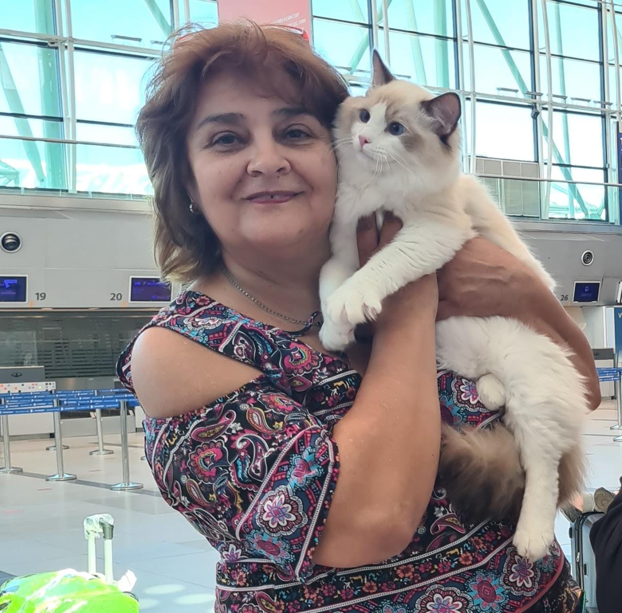 Liliana Verdi, criadora Ragdoll